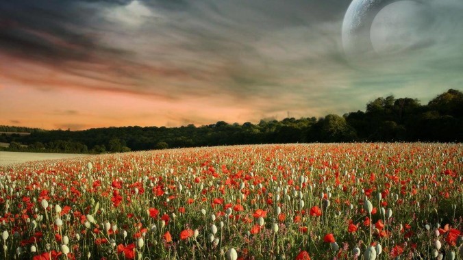 2025年，Gitea 和 GitLab 应当如何选择？